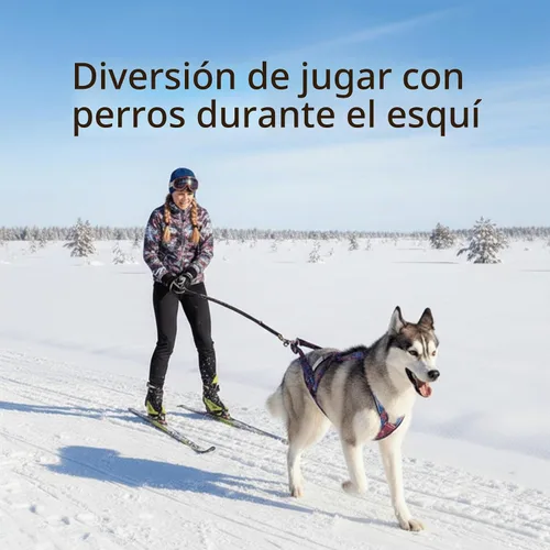 Vista 5 de Arnés de tracción de peso para perros - Trineo y correr (Azul, M)
