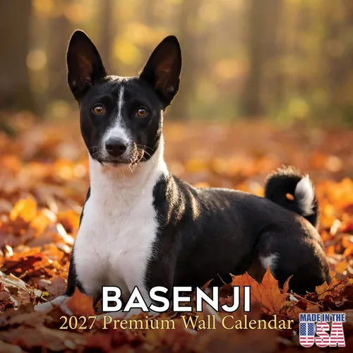 Vista 19 de Calendario de Lebrel Afgano 2025 2026, calendario mensual de pared de raza canina, 12" x 18" abierto, papel grueso sin traspaso, ideal para regalo
