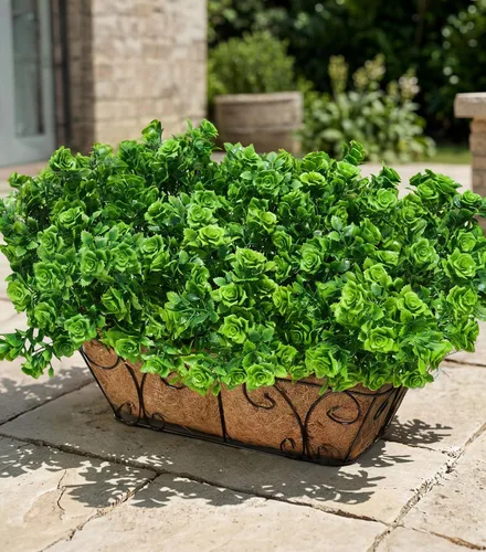 Vista 20 de Tallos de cedro artificiales Ivydale, ramas de pino Norfolk artificiales para decoración de Navidad, 12 tallos de pino falsos con 2 ramas de conos