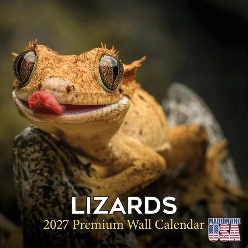 Vista 134 de Calendario de grises africanos 2025 2026 – Planificador mensual de pared de aves africanas – 12 x 18 pulgadas (abierto), calendario de pared