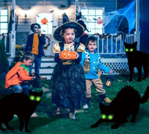 Vista 8 de Paquete de 6 carteles de decoración de gato negro de Halloween con estacas que brillan en los ojos oscuros, aterradores, impermeables, para patio