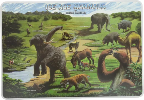 Vista 11 de Painless Learning Popular Birds - Mantel individual, tamaño grande