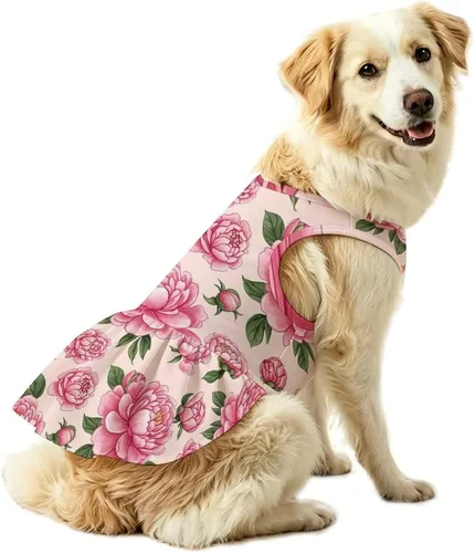 Vista 11 de Dog Dress for Medium Dogs (Baseball Gifts Art)