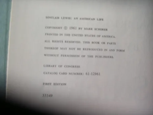 Vista 2 de Sinclair Lewis An American Life