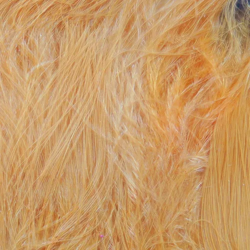 Vista 25 de Hareline Marabou Strung Blood Quills 1 OZ Paquete