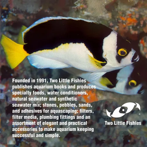 Vista 7 de Two Little Fishies Atlsvgsb Sea Veg-Green Seaweed a granel 100 hojas