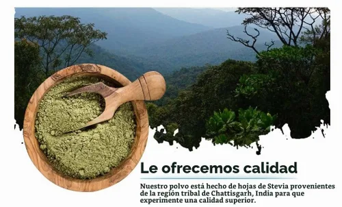 Vista 5 de Polvo de stevia verde de 1 libra (16 onzas) Sustituto de azúcar edulcorante natural sin calorías Cruda Sin conservantes Sin OMG - Néctar
