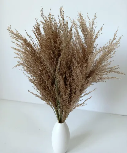 Vista 2 de Hierba seca de junco grande, ramo bohemio náutico para decoración del hogar, hierba de pampa esponjosa para decoración de centros de mesa de boda