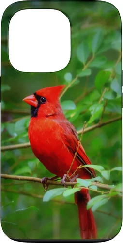 Vista 10 de Hermosa cardenal pájaro rojo escena de la naturaleza caso para iPhone 17