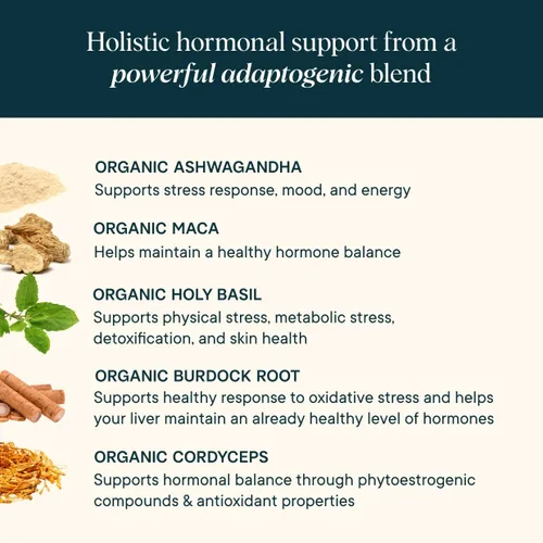 Vista 2 de Ora Organic Paquete de energía de equilibrio hormonal y proteína: apoya la piel, el estado de ánimo, la energía, Cordyceps y cereza de acerola +