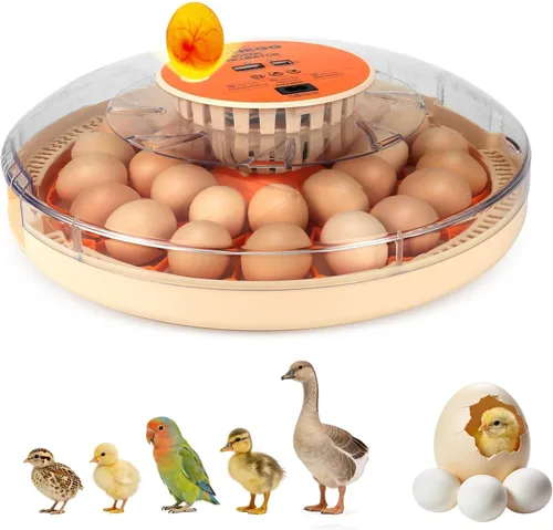 Vista 14 de Nest I - Incubadora de 12 huevos para principiantes, giro automático de huevos, humedad constante con botella de agua de recarga automática