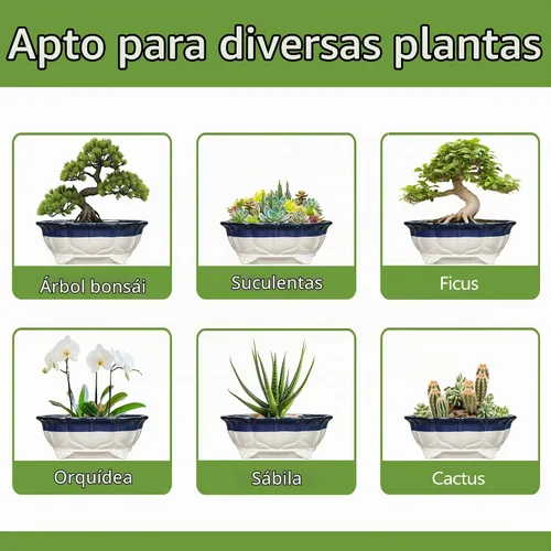 Vista 7 de Macetas suculentas de 11 pulgadas, macetas de cerámica para bonsái con orificio de drenaje, maceta bonsái para plantas de interior y exterior