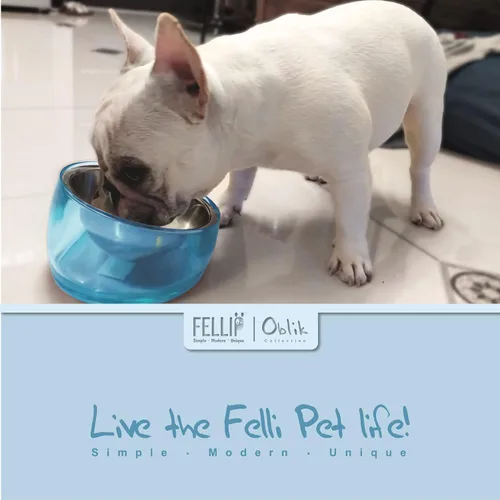 Vista 5 de Felli Pet Oblik - Tazón de agua inclinado para comida para perros, plato ovalado de acero inoxidable, ergonómico, en ángulo, a prueba de derrames