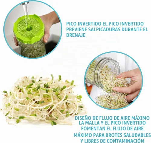 Vista 4 de Masontops Mason Jar - Juego de iniciación de tarro de germinación de frijoles, kit de brotes de frijoles fácil de bricolaje con semillas orgánicas