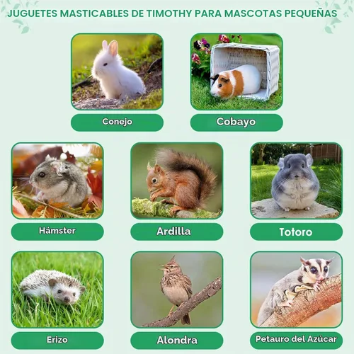 Vista 5 de ERKOON 80 juguetes masticables de conejo para dientes de conejo, juguetes naturales de conejo de madera de manzana, zanahoria, golosinas de hierba