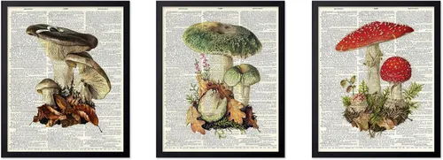 Vista 58 de Poster Master Póster botánico vintage de 3 piezas, estampado floral retro, regalo para artistas, amigos, flores de acuarela, brillante, azul
