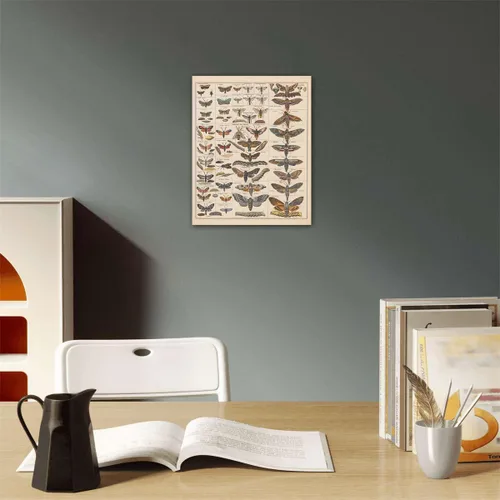 Vista 4 de Meishe Art Póster Impreso Vintage Polilla Insectos Razas Identificación Tabla de Referencia Colección de Especies Diagrama de Entomología Aula Club