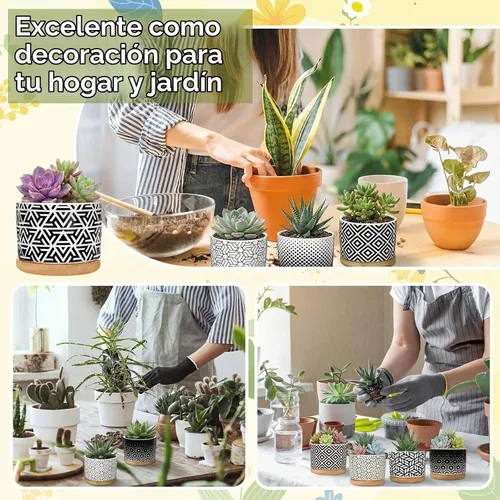 Vista 5 de Threehoney 12 macetas de cerámica para suculentas de 3.14 pulgadas