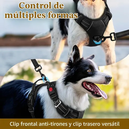 Vista 3 de Rabbitgoo - Arnés para perro de tamaño pequeño, sin tirones, 3 hebillas, fácil de poner y quitar Negro