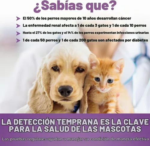 Vista 6 de One Step Tiras de prueba de orina para mascotas, tiras de prueba de análisis de orina de 5 x 10 parámetros, tiras de prueba de pH de orina