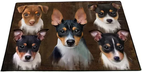Vista 25 de Doggie of the Day Tapete Rat Terrier para perros, 4 de julio, Día de la Independencia, el mejor felpudo para perro, decoración protectora, arte