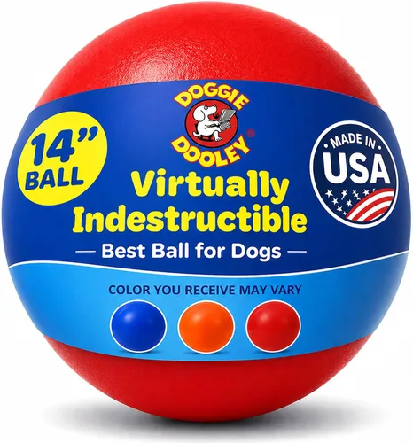Vista 11 de Prácticamente indestructible (duro), mejores pelota para perros