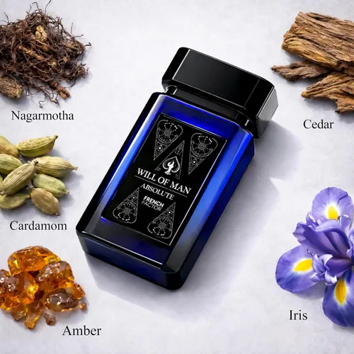 Vista 4 de French Factor Will of Man Absolute Eau de Parfum para hombre (3.4 onzas líquidas) Perfume Oriental Oud de alta calidad de larga duración Colonia
