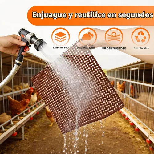 Vista 5 de INNOLAND Paquete de 6 almohadillas de anidación de pollo, almohadillas