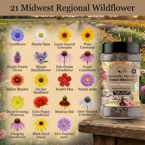 Vista 2 de Mezcla regional de semillas de flores silvestres de GevaGrow (Midwest Wildflowers Mini Shaker)