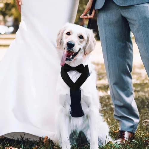 Vista 3 de Bandana de esmoquin, collar ajustable para mascotas con lazo para perros pequeños, medianos y grandes, ropa formal de boda, regalos de cumpleaños