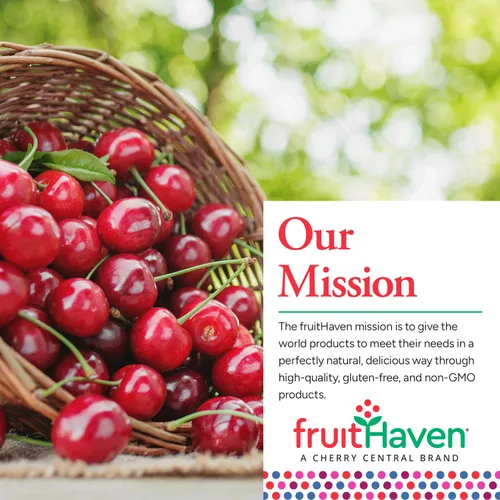 Vista 3 de fruitHaven Arándanos secos, totalmente naturales, sin gluten, sin perservantes, buena fuente de fibra, vitaminas y minerales, propiedad