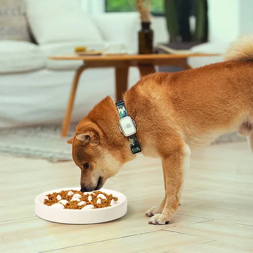 Vista 3 de Alimentador lento para gatos y perros pequeños, plato de alimentación de melamina para rompecabezas – Alimentador para evitar el golpe, dieta