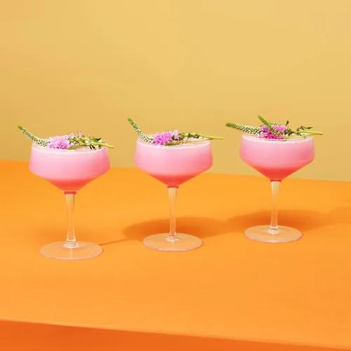 Vista 9 de Viski - Copas de brandy de 12,7 cm, cupé, talla única , Copas Coupé