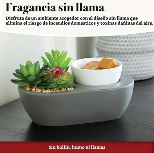 Vista 2 de Candle Warmers Etc. Calentador de Fragancias (Suculenta) Calienta Ceras Perfumadas Derretidas, Cubos y Tartas