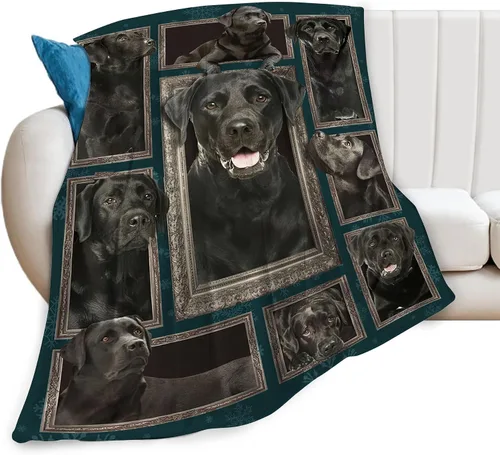 Vista 23 de Manta de Tiro de Perro Akita - Regalos y Decoración para Niñas, Mujeres, Niños, Adultos - Suave, Cálida y Acogedora de Vellón para Sofá, Sillón
