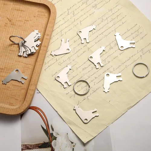 Vista 3 de 15 llaves dispensadoras de papel higiénico con 3 llaveros, dispensador de papel higiénico de repuesto para llaves, dispensador de pañuelos, llave