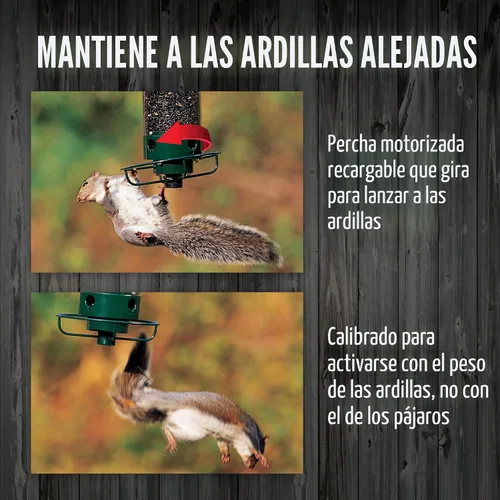 Vista 5 de Comederos para pájaros a prueba de ardillas Droll Yankees para exteriores - YF-M - Flipper, perchas plegables, capacidad de semillas de 5 libras