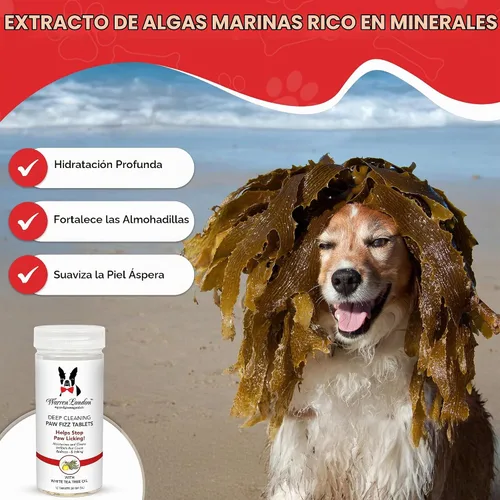 Vista 3 de Warren London Limpieza profunda de patas para perros – Alivia la picazón e irritación de las patas con aloe vera, algas marinas y aceite de árbol
