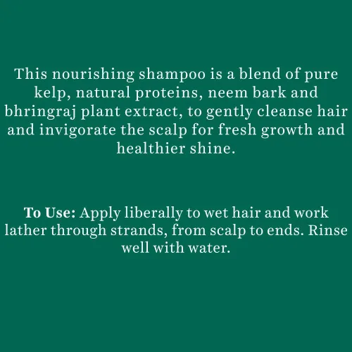Vista 4 de Biotique Bio Kelp Protein Champú para cabello caído, 11.5 fl oz