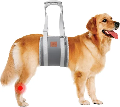Vista 14 de Arnés de elevación ajustable para perros, cabestrillo para perros grandes, soporte de elevación y arnés de rehabilitación para patas traseras Negro