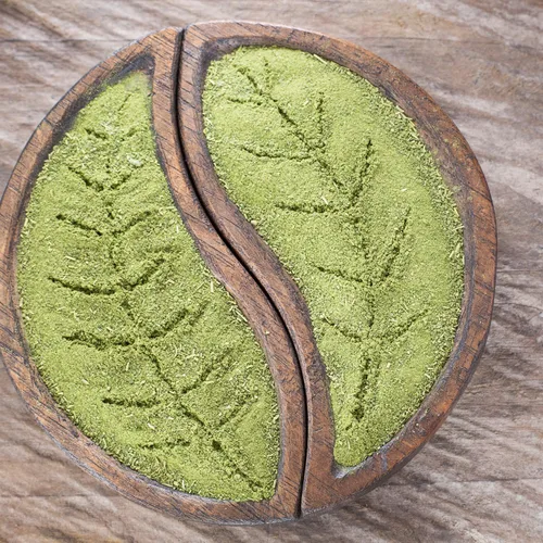Vista 7 de 100 semillas de moringa para plantar, semillas de plantas vegetales de Moringa Oleifera para jardinería al aire libre