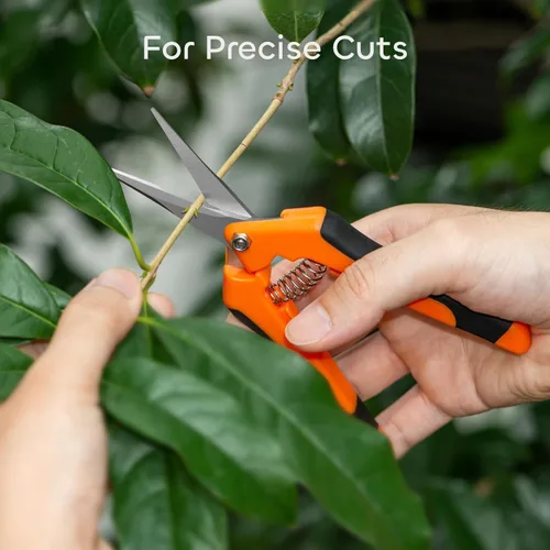Vista 2 de GROWNEER 1 paquete de tijeras de podar de 6.5 pulgadas, tijeras de podar de mano para jardinería, tijeras de jardinería con cuchillas rectas