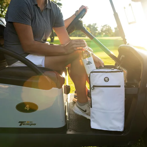 Vista 11 de geckobrands Verticool Cooler - Bolsa térmica suave portátil aislada con correa ajustable para el hombro, capacidad para 9 latas o 2 botellas