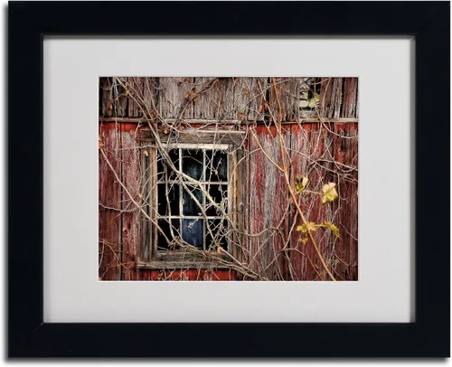 Vista 2 de Trademark Fine Art Lois Bryan - Arte enmarcado con marco negro, 11 x 14 pulgadas