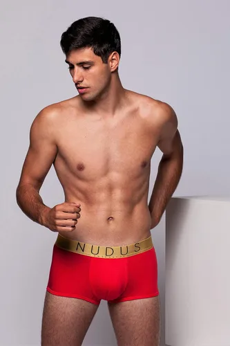 Vista 5 de NUDUS Ropa interior de bambú de 2 bolsas para hombre, paquete de 4 calzoncillos tipo caja de regalo, calzoncillos tipo bóxer