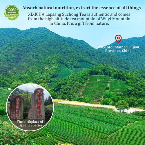 Vista 2 de XIXICHA Lapsang Souchong Té chino Té negro Hoja suelta Grado AAA ZhengShanXiaoZhong Wuyi Montaña Té negro Rico aroma de flor