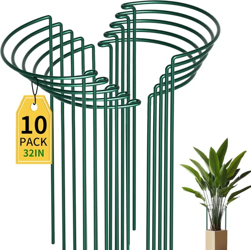 Vista 12 de TCBWFY Paquete de 10 estacas de soporte para plantas de peonía, 10 pulgadas de ancho x 16 pulgadas de alto, jaulas de peonía de alta resistencia