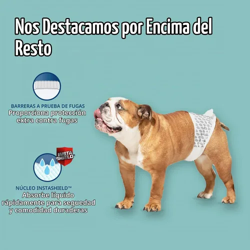 Vista 6 de Simple Solution Pañales Desechables Envolventes para Perros Machos, True Fit, Absorbentes, A Prueba de Fugas con Indicador de Humedad, Pañal