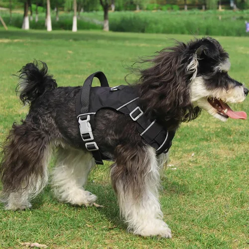 Vista 6 de Mile High Life Arnés sin tirones para perro, con rayas reflectantes, ajustable, fácil de poner, arnés ligero para perros pequeños, medianos