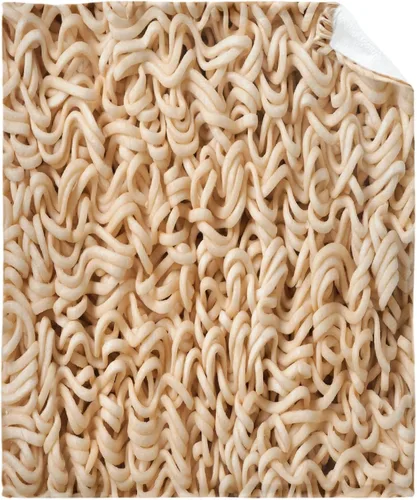 Vista 17 de Manta de chips Nachos para otoño, invierno, primavera, todas las estaciones, cálida y mullida de 40 x 30 pulgadas, para mascotas, microfelpa Chips